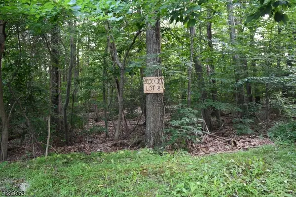 000 Peppe Ridge Dr, Stillwater Twp., NJ 07860