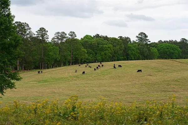 0 CR 1615, Jacksonville, TX 75766