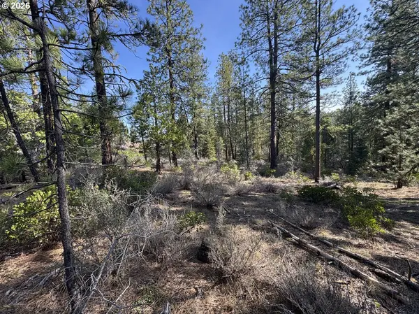 Cardinal Drive #4, Bonanza, OR 97623