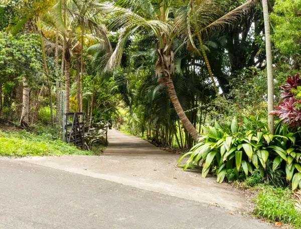 87-493 KAOHE MAUKA RD, Captain Cook, HI 96704