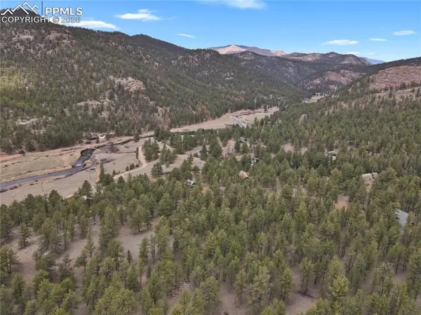 88 Crystal LN, Lake George, CO 80827