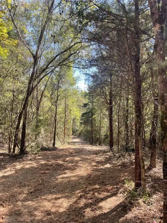 167 CR 3141, Jacksonville, TX 75766