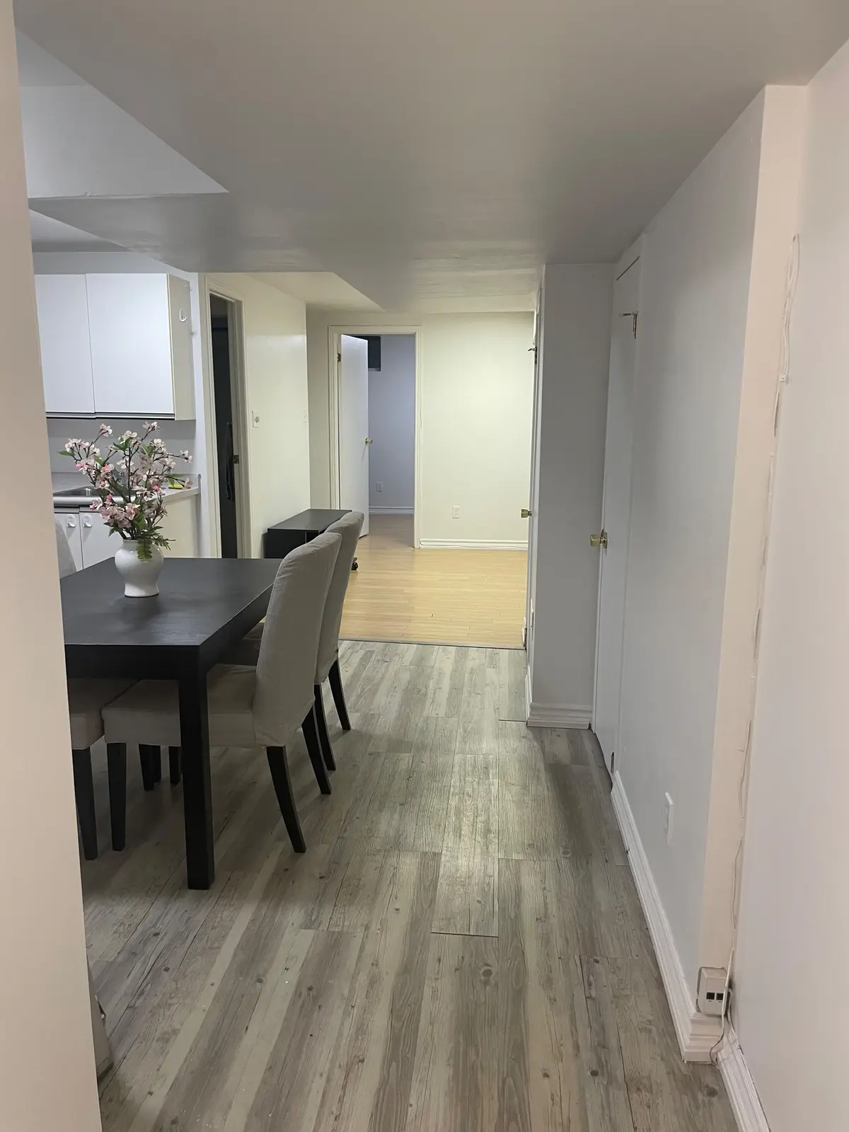 102 Church ST S #lower, Richmond Hill, ON L4C 1W3