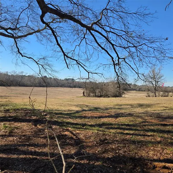 20398 Old Palestine Highway, Flint, TX 75762