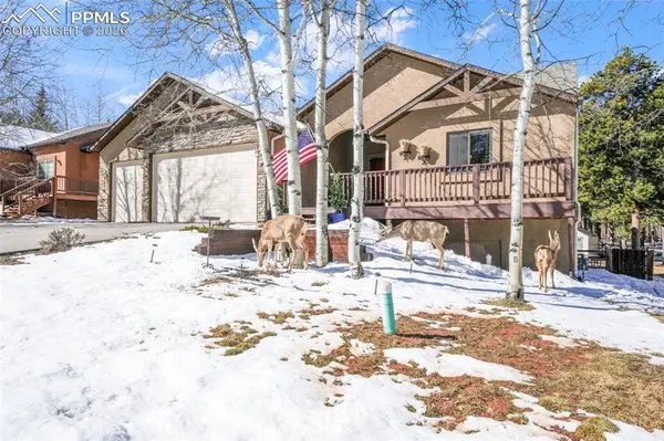 1116 Ptarmigan DR, Woodland Park, CO 80863