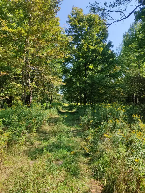 0East2 Road allowance RD, Havelock-belmont-methuen, ON K0L 1Z0