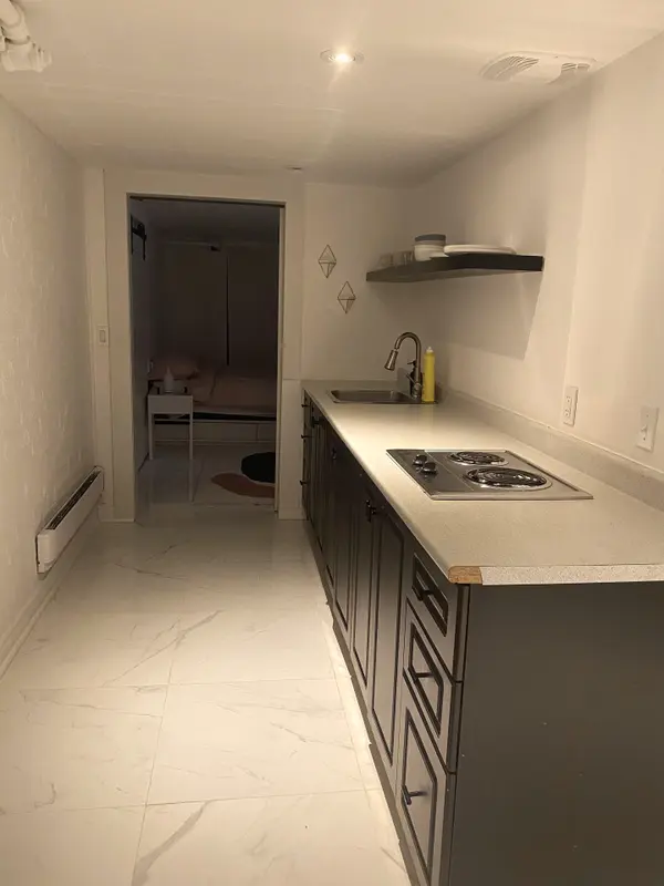 16 Laxton AVE #Lower, Toronto W01, ON M6K 1K9