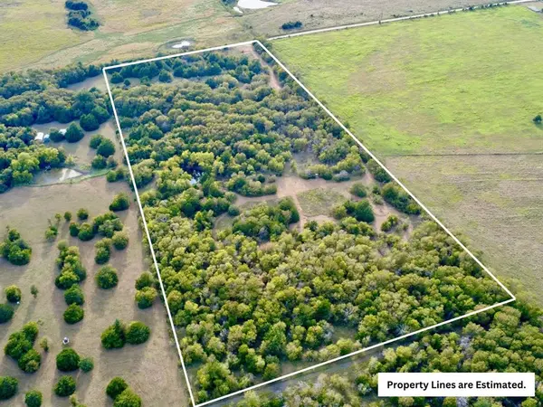 TBD 18.335 ACRES LCR 218, Coolidge, TX 76635