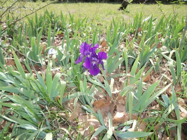 307 NE 5th Street, Hubbard, TX 76648