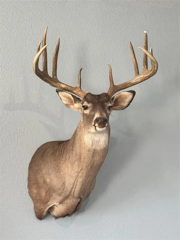 3402 County Road 196, Blackwell, TX 79506