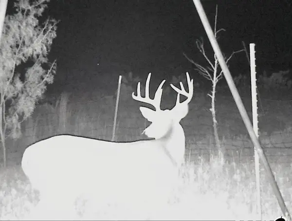 3402 County Road 196, Blackwell, TX 79506