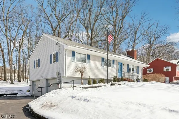 30 Polhemus Ter, Hanover Twp., NJ 07981