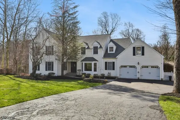 12 Spring Brook Dr, Randolph Twp., NJ 07869