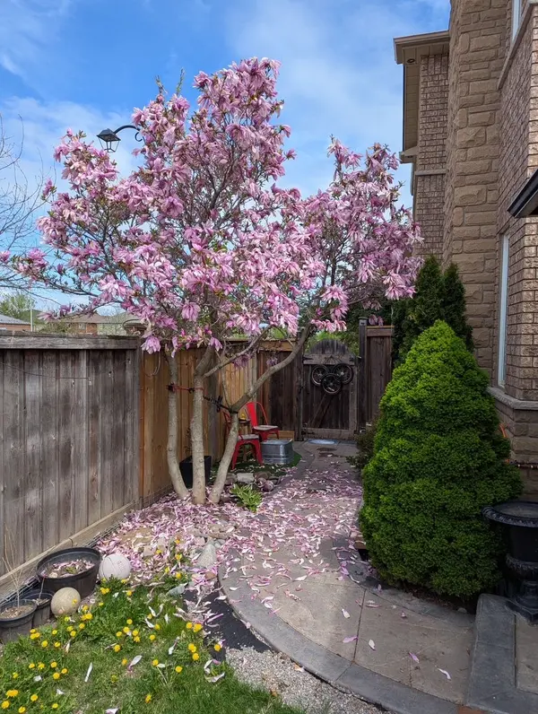 2 Sgotto BLVD, Vaughan, ON L4H 1X1