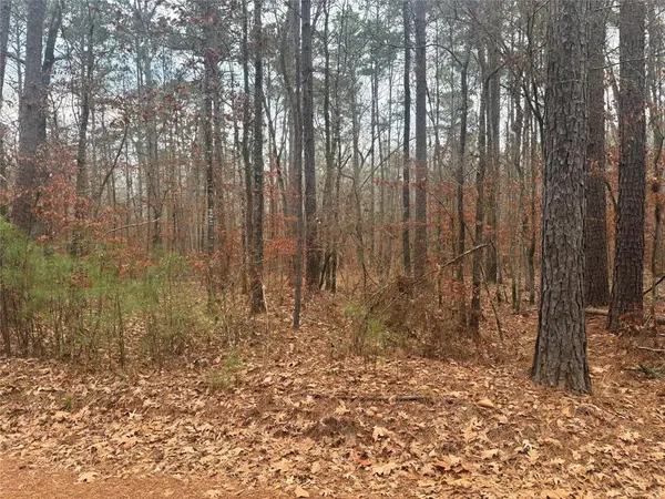 0 Clement Road, Benton, LA 71006