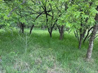 1980 Fm 933, Aquilla, TX 76622