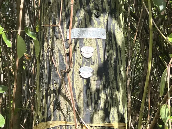 KEHAU RD, Pahoa, HI 96778