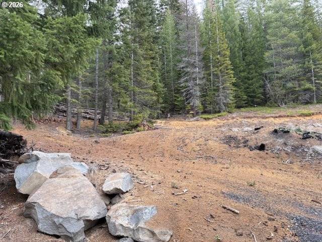 6 Royce Pine RD, Crescent Lake, OR 97733