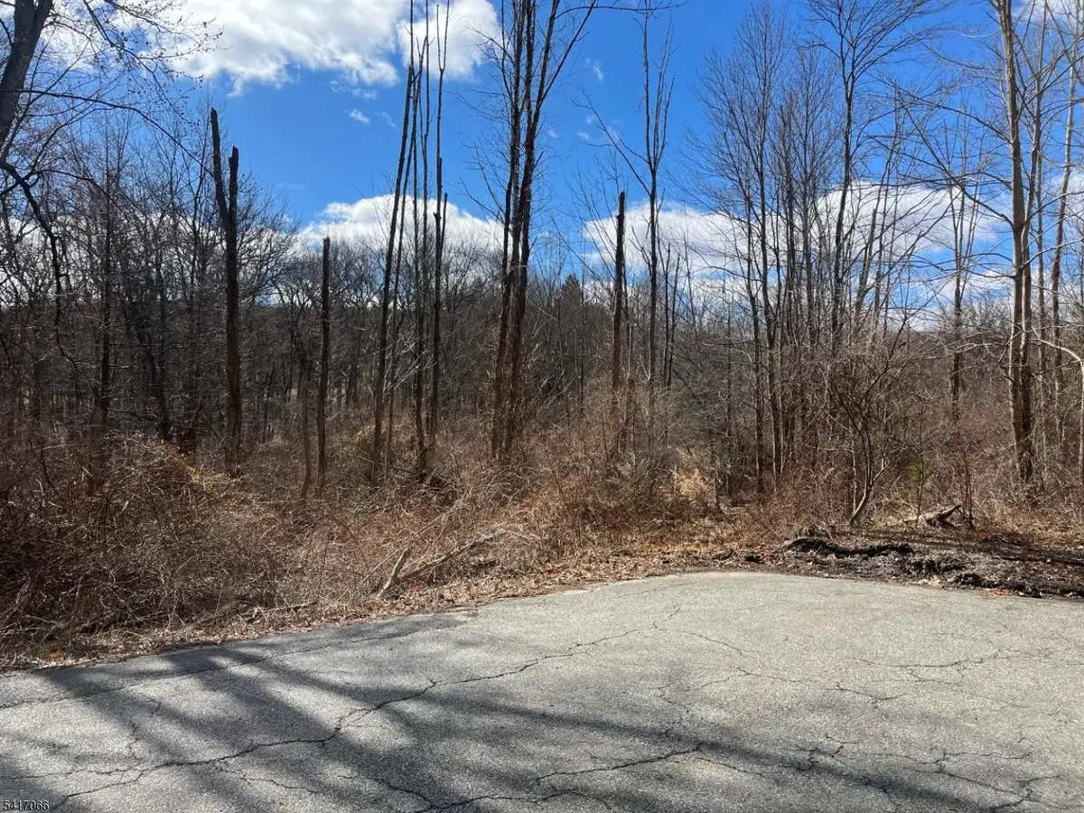 221 Old Center Grove Rd, Randolph Twp., NJ 07869