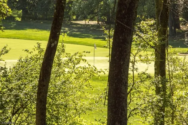 149 Overleigh Rd, Bernardsville Boro, NJ 07924