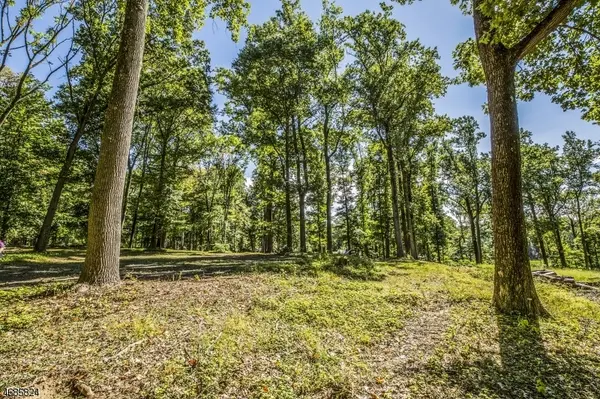 149 Overleigh Rd, Bernardsville Boro, NJ 07924