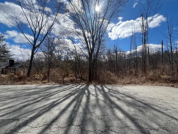 221 Old Center Grove Rd, Randolph Twp., NJ 07869