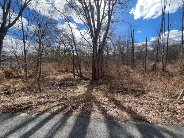 221 Old Center Grove Rd, Randolph Twp., NJ 07869