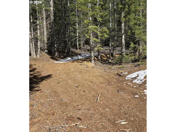 6 Royce Pine RD, Crescent Lake, OR 97733