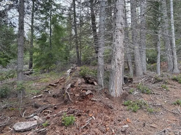 6 Royce Pine RD, Crescent Lake, OR 97733