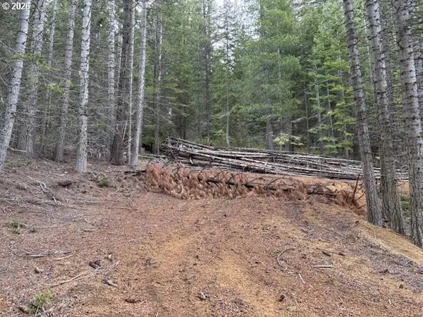 6 Royce Pine RD, Crescent Lake, OR 97733