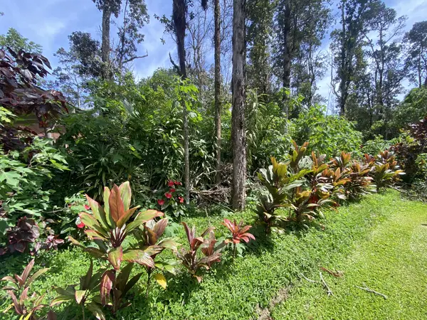 12-4353 IOLANI ST, Pahoa, HI 96778