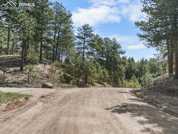 156 E Ridge DR, Woodland Park, CO 80863