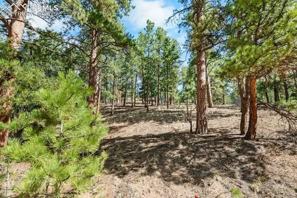 156 E Ridge DR, Woodland Park, CO 80863