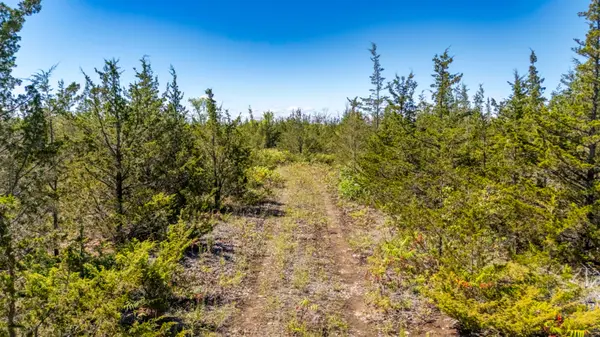 4270 Camden Portland Boundary RD, Stone Mills, ON K0H 1V0