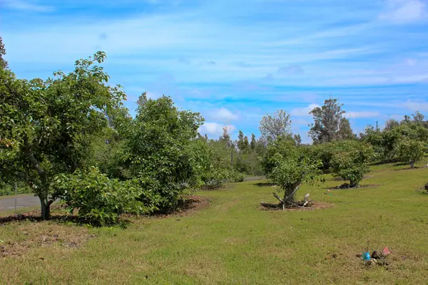 Captain Cook, HI 96704