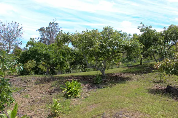 Captain Cook, HI 96704