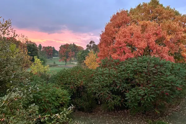 50 Rosenfeld CRES, Kanata, ON K2K 2L2