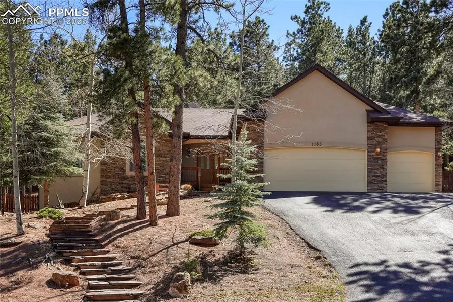 1185 Karen LN, Woodland Park, CO 80863