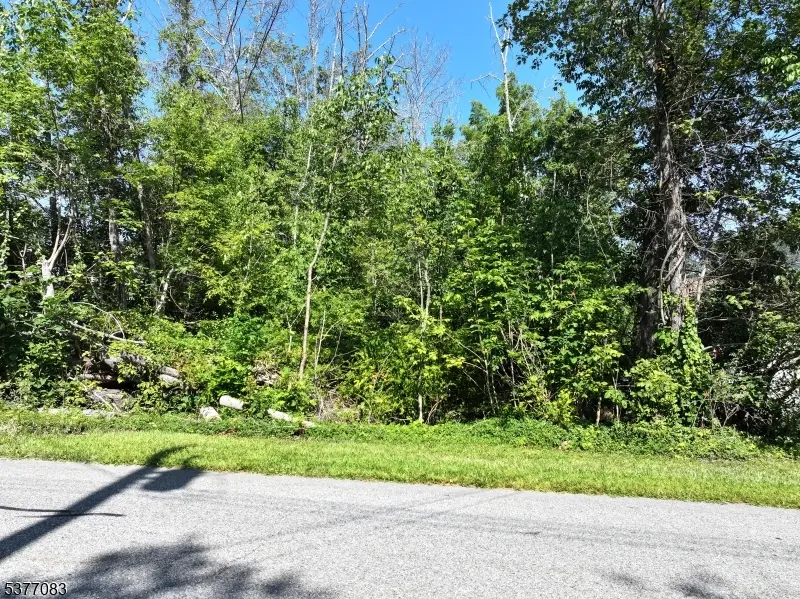 19 E Shore Lake Owassa Rd, Frankford Twp., NJ 07860