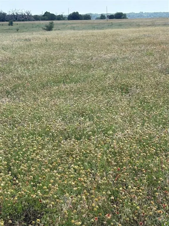 TBD LOT 2 CR 3565, China Spring, TX 76633