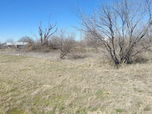 TBD I-20 Access Road, Olden, TX 76446