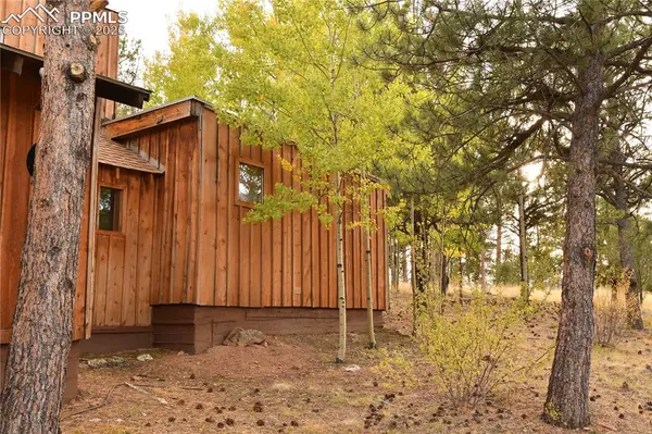 3800 Doe Valley RD, Guffey, CO 80820