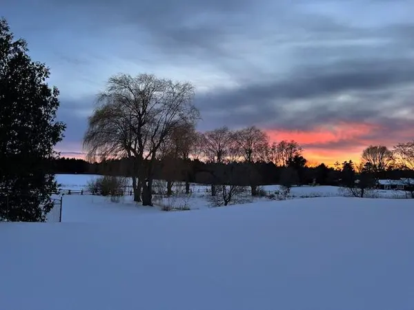 8185 17th Side Road, King, ON L7E 5R7