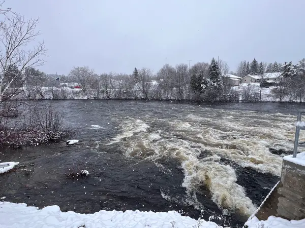 29606 60 Hwy HWY, South Algonquin, ON K0J 2M0