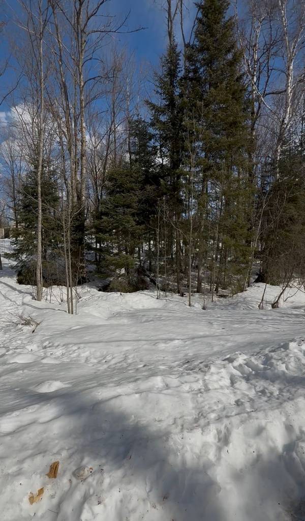 0 Redam DR, Mcmurrich/monteith, ON P0A 1Y0