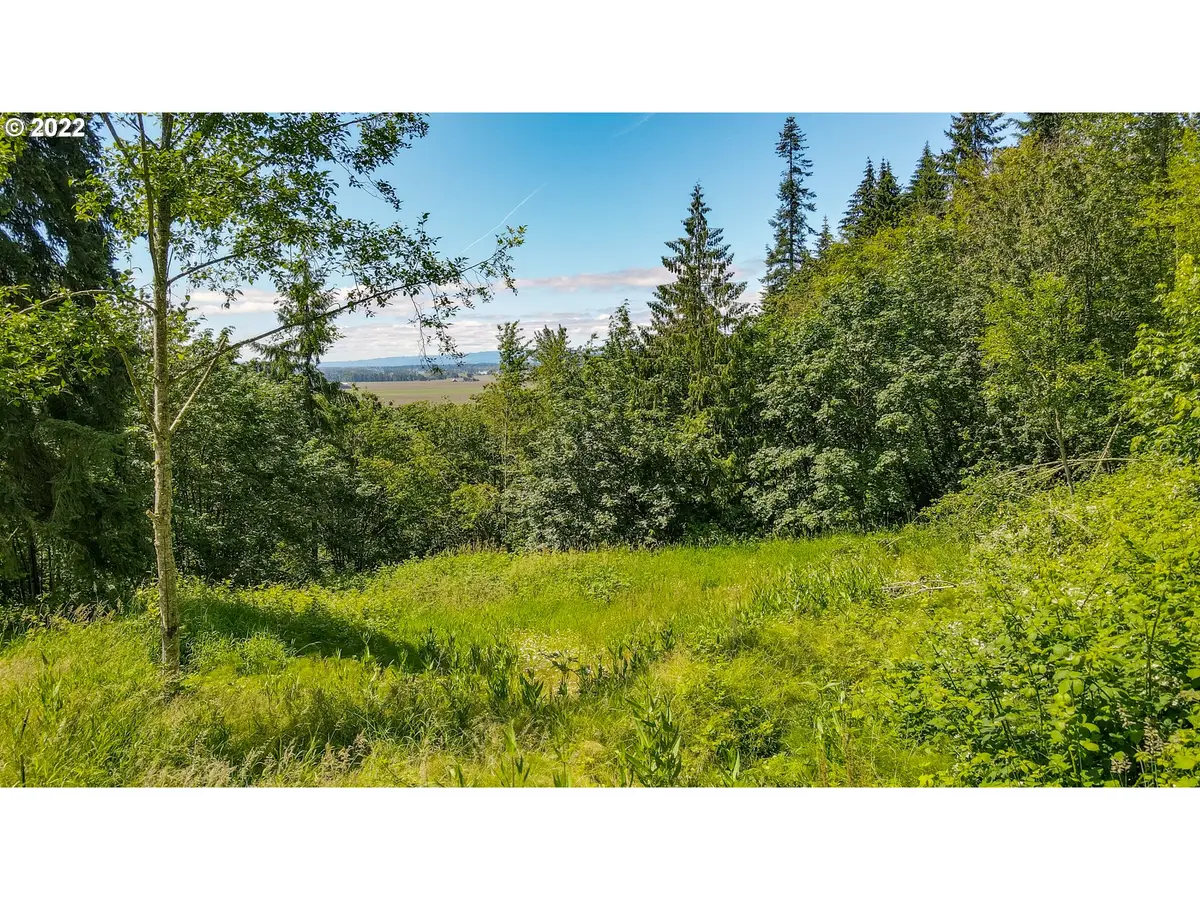 0 Columbia View DR, Woodland, WA 98674