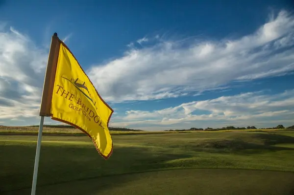 1089 Birdie Street, Gunter, TX 75058