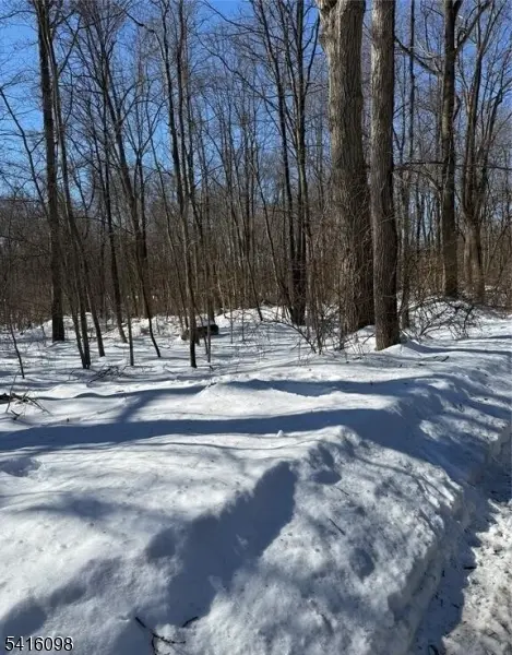 15 Saw Mill Rd, Kinnelon Boro, NJ 07405