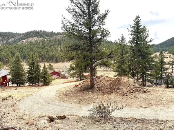 159 W Platte RD, Lake George, CO 80827