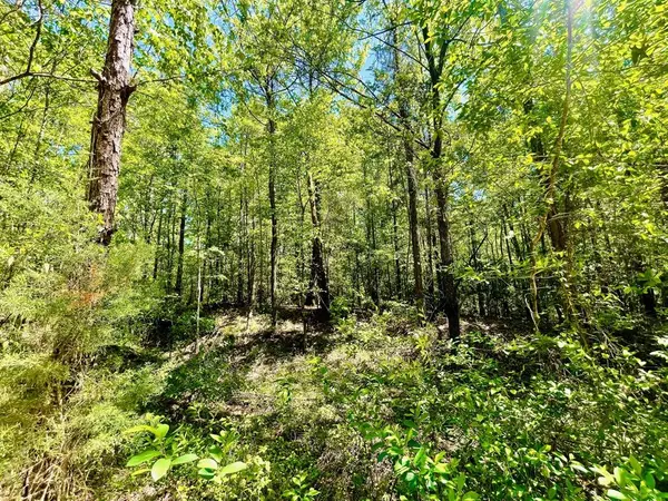 C-2 Fuller Cemetery, Minden, LA 71055